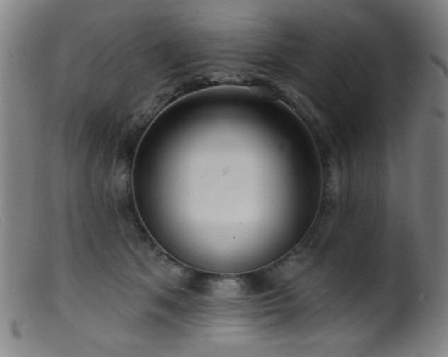 X0000099540513200805161431