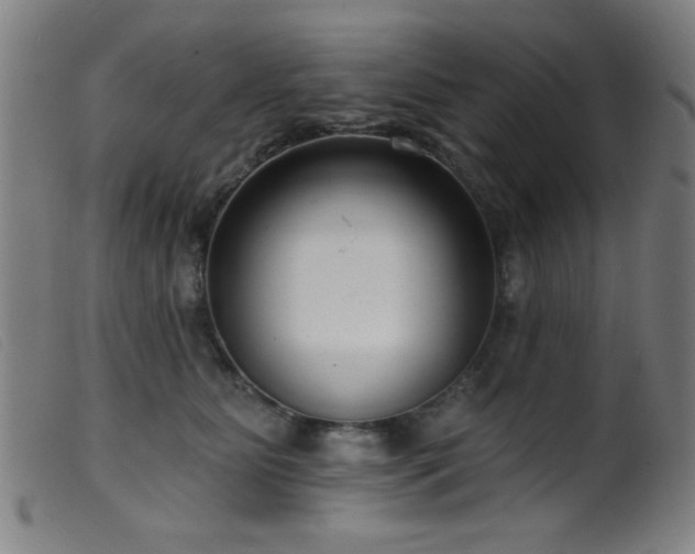 X0000099540515200805161431