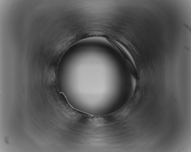 X0000099540517200805161431