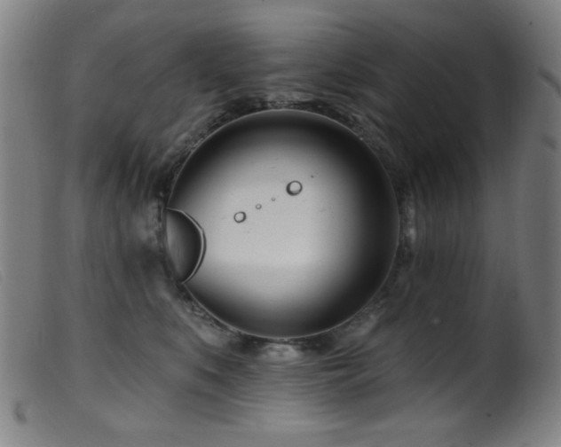 X0000099540519200805161431