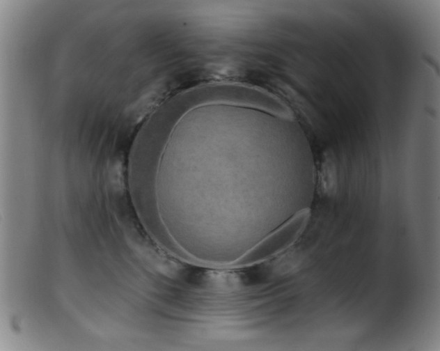 X0000099540520200805161431