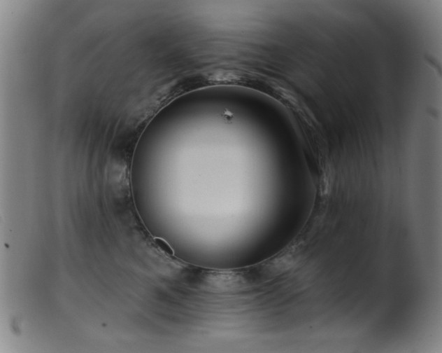 X0000099540521200805161431