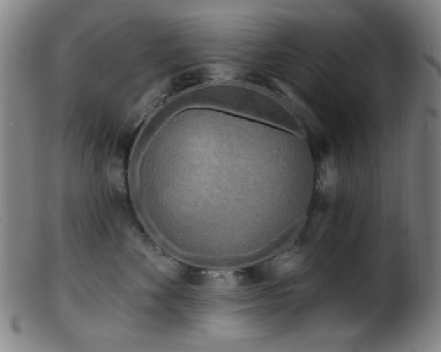 X0000099540524200805161431