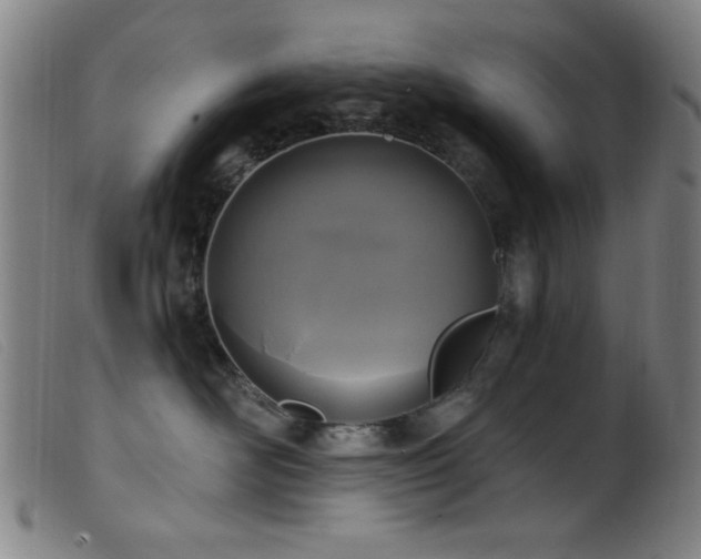 X0000099540526200805161431