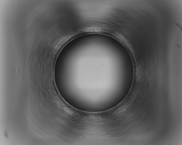X0000099540529200805161430
