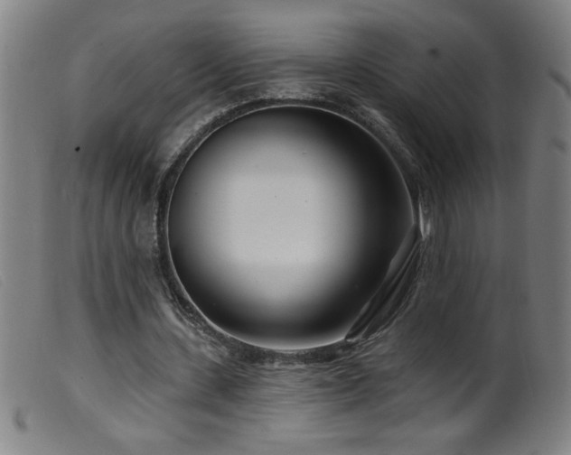 X0000099540531200805161430