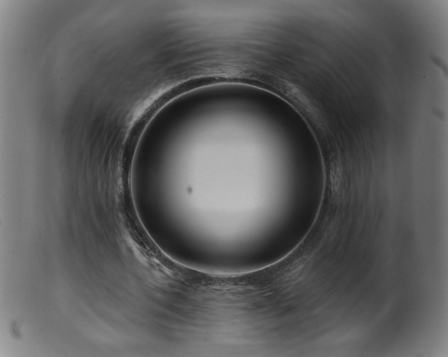 X0000099540532200805161430