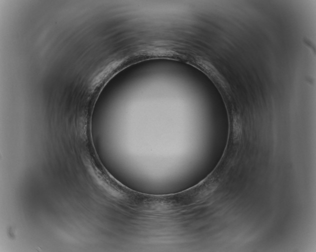 X0000099540533200805161430