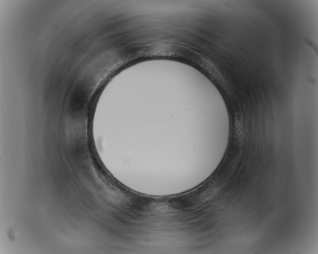 X0000099540534200805161430