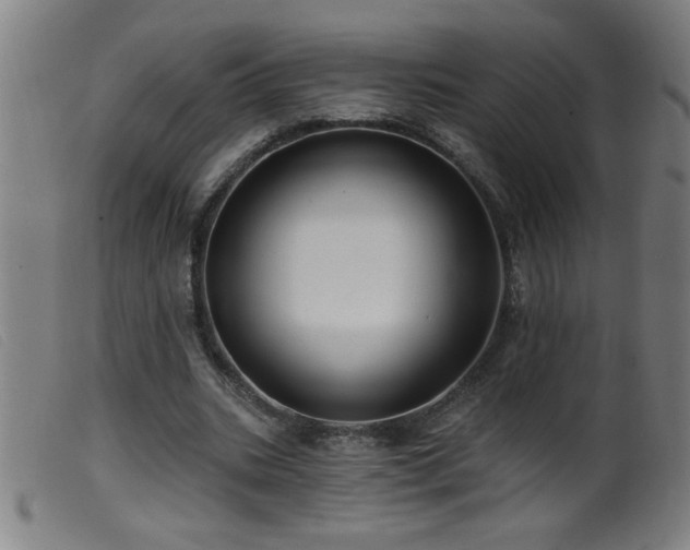 X0000099540535200805161430