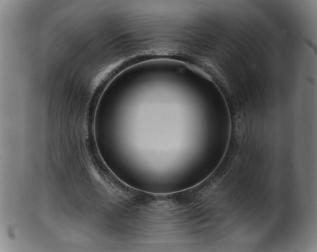 X0000099540536200805161430