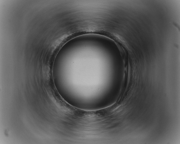 X0000099540540200805161430