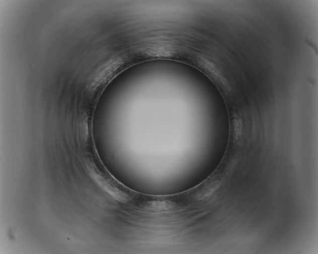 X0000099540541200805161430