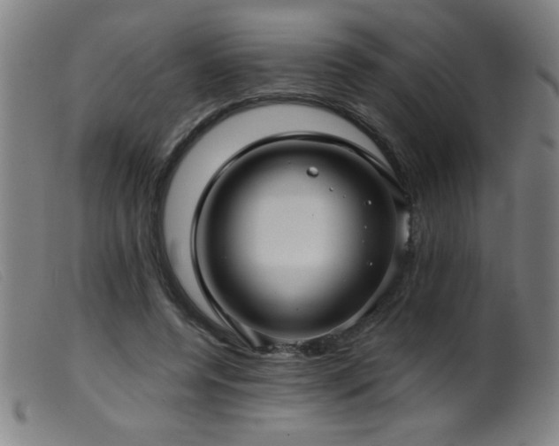 X0000099540544200805161430