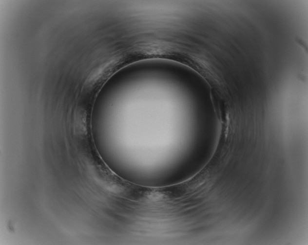 X0000099540547200805161430