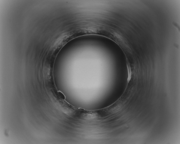 X0000099540548200805161430