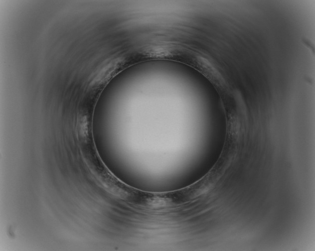 X0000099540549200805161430