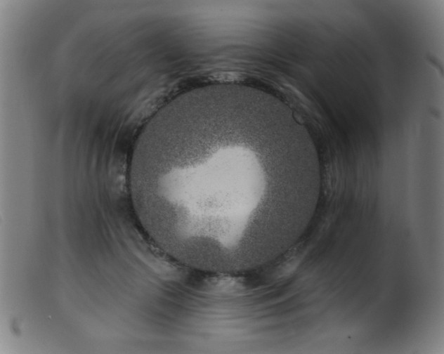 X0000099540553200805161430
