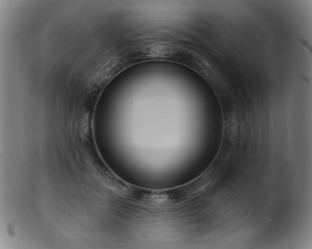 X0000099540554200805161430