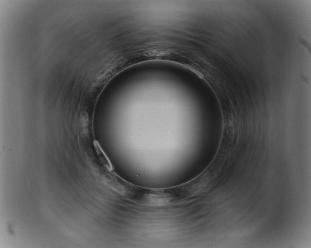 X0000099540556200805161430