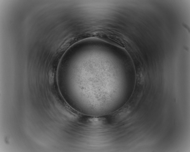X0000099540558200805161430