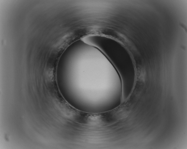 X0000099540560200805161430