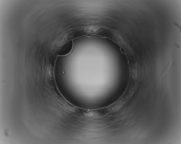 X0000099540561200805161430