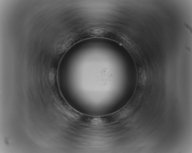 X0000099540562200805161430