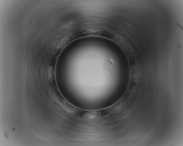 X0000099540563200805161430