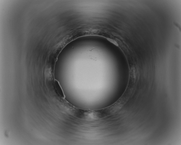 X0000099540564200805161430