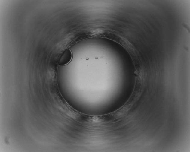 X0000099540565200805161430