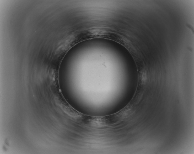 X0000099540567200805161430