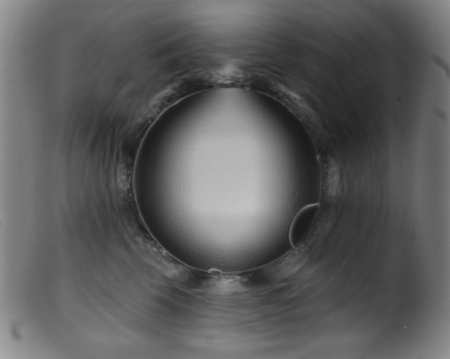 X0000099540569200805161430
