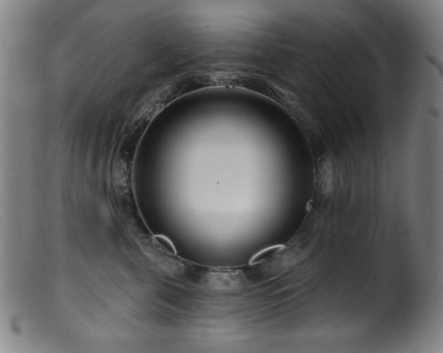 X0000099540571200805161430