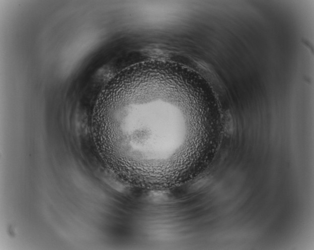 X0000099540573200805161431