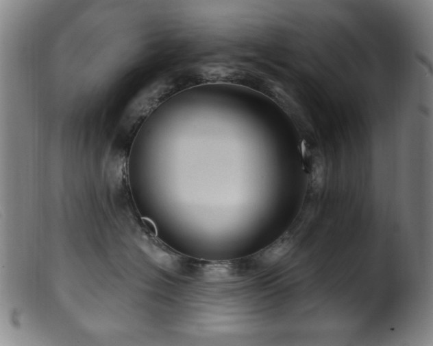 X0000099540574200805161431