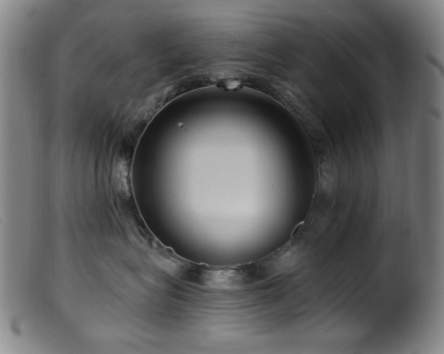 X0000099540575200805161431