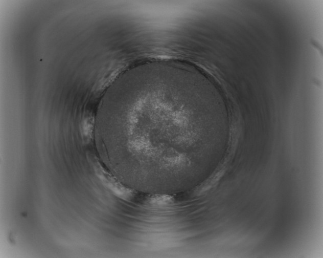 X0000099540576200805161431