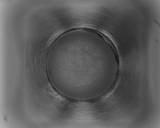 X0000099540577200805161430