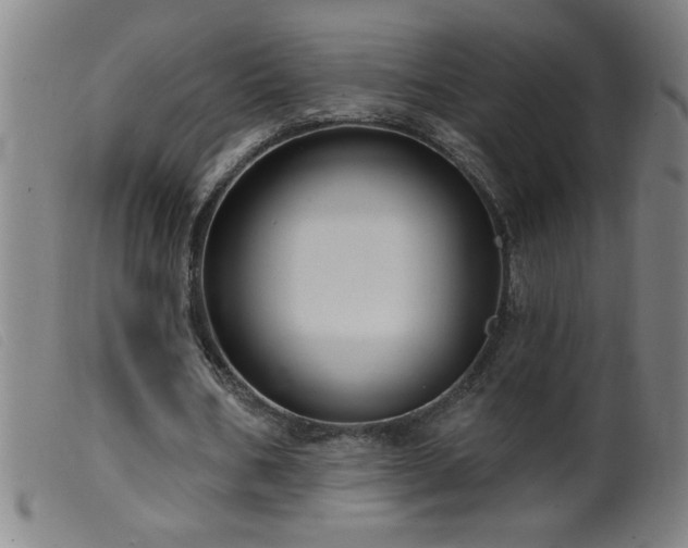 X0000099540578200805161430