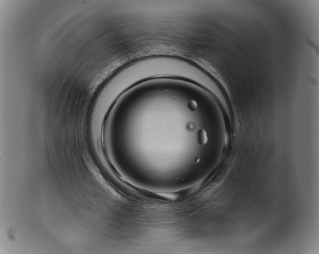 X0000099540581200805161430