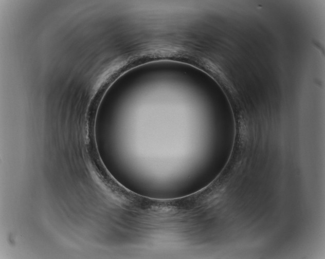X0000099540582200805161430