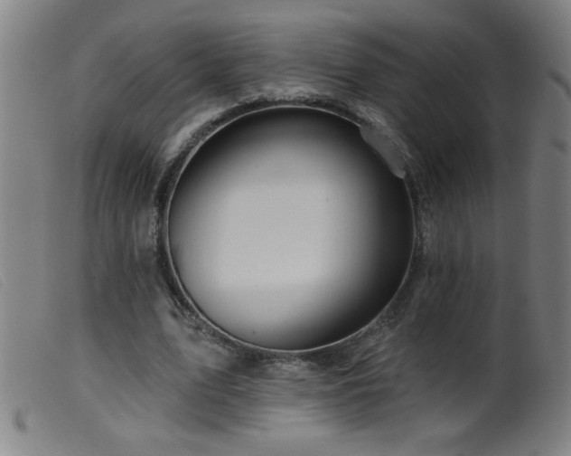 X0000099540583200805161430
