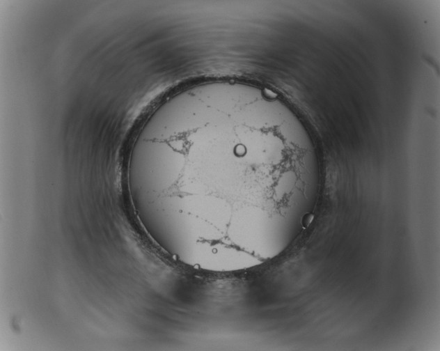 X0000099540584200805161430