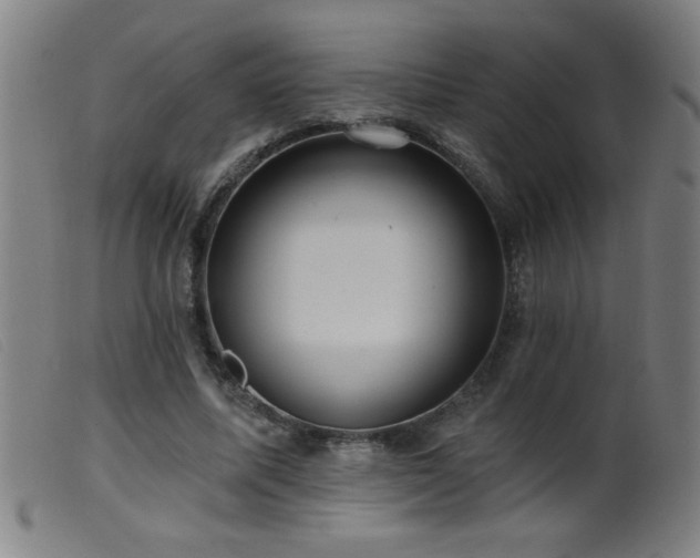 X0000099540587200805161430