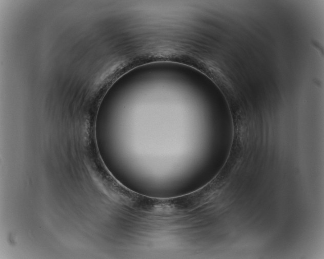X0000099540591200805161430