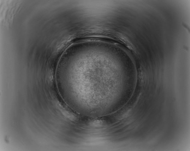 X0000099540593200805161429