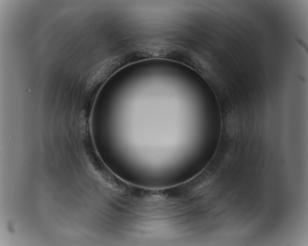 X0000099540594200805161429