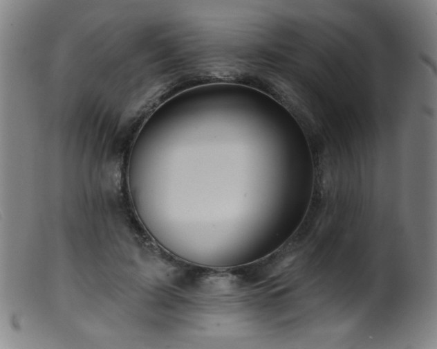X0000099540595200805161429
