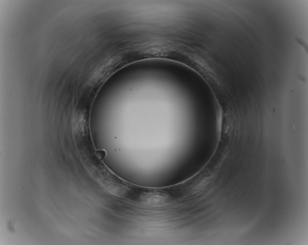 X0000099540597200805161429